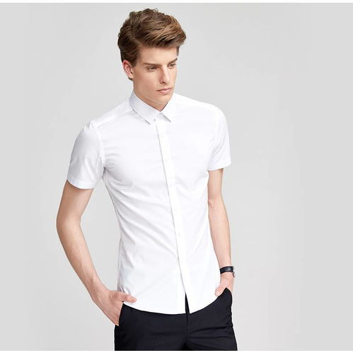 湯河之家 免燙修身襯衫男短袖商務青年韓版職業上班正裝純色襯衣